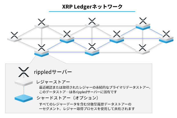 XRP Ledgerネットワーク: レジャーストアーとシャードストアーの図