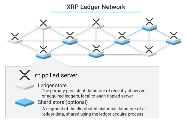 XRP Ledger Network: Ledger Store and Shard Store Diagram